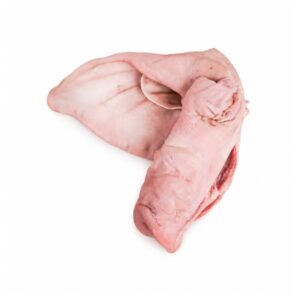 Cabeza  <br/>Cerdo
